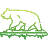 Forêt boréale et taïga