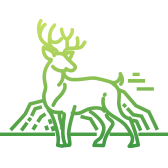 La toundra du Grand Nord